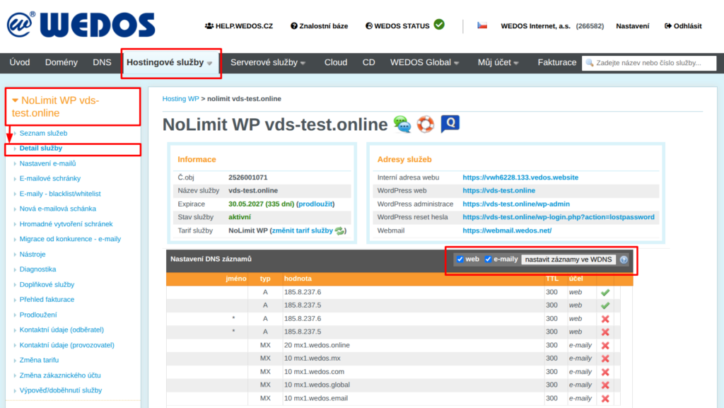 Domain DNS settings in Hosting WP service detail